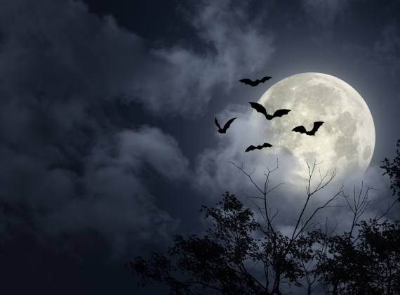 Full Moon with Bats