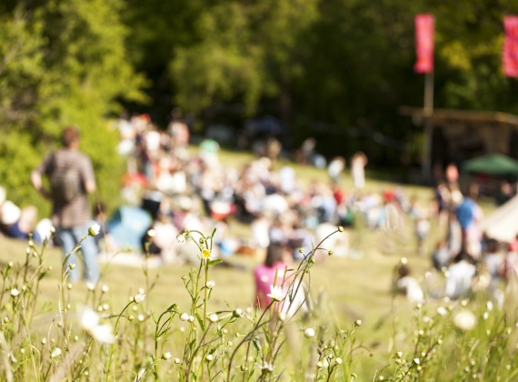 people watching the Sommo Fest