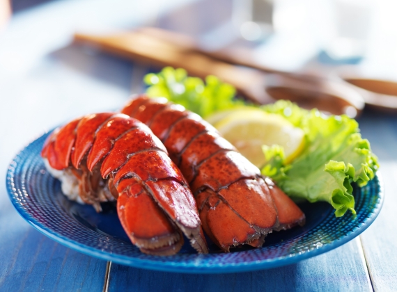 plate-of-lobster-at-maine-lobster-festival