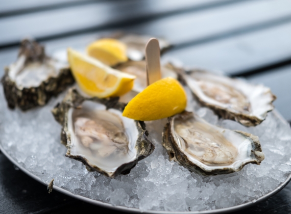 oysters-on-plate-of-ice