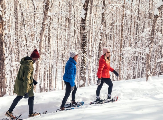 people snowshoeing in Strathgartney Provincial Park