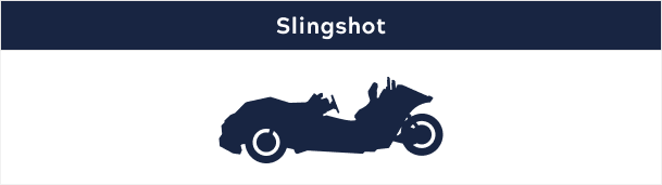 Slingshot